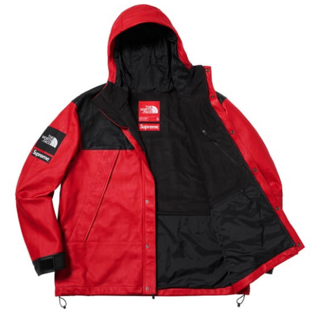 Supreme(シュプリーム)の【最終値下げ】Supreme ×The North Face マウンテンパーカー メンズのジャケット/アウター(マウンテンパーカー)の商品写真