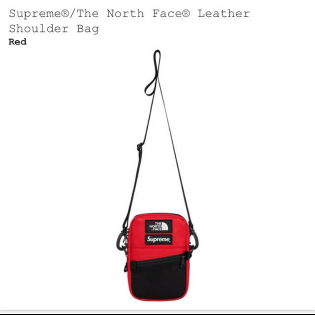 メンズsupreme the north  face