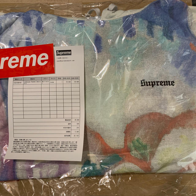 SUPREME Landscape Hooded ランドスケープパーカーLメンズ