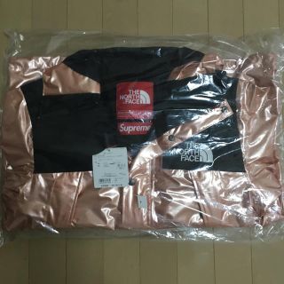 シュプリーム(Supreme)のSupreme/TNF Metallic Mountain Parka S(マウンテンパーカー)