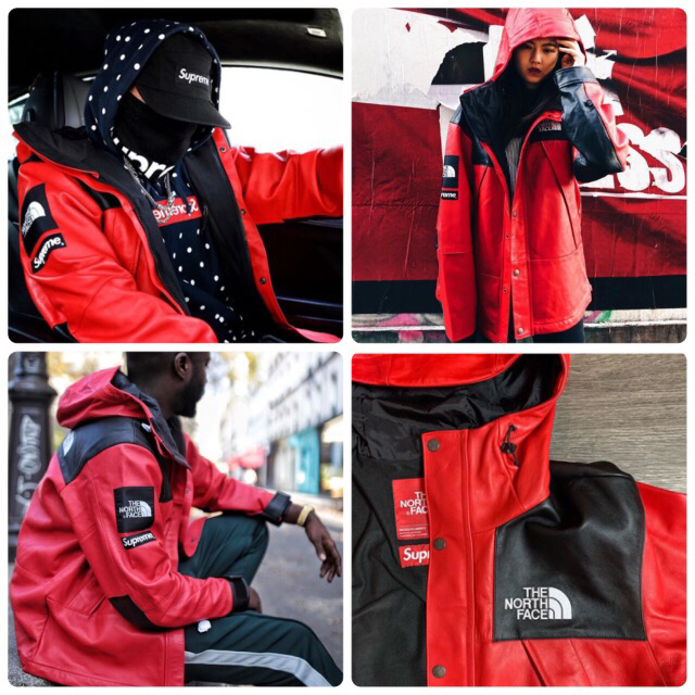 Supreme(シュプリーム)のSupreme × The North Face レザー マウンテンパーカー Ｌ メンズのジャケット/アウター(マウンテンパーカー)の商品写真