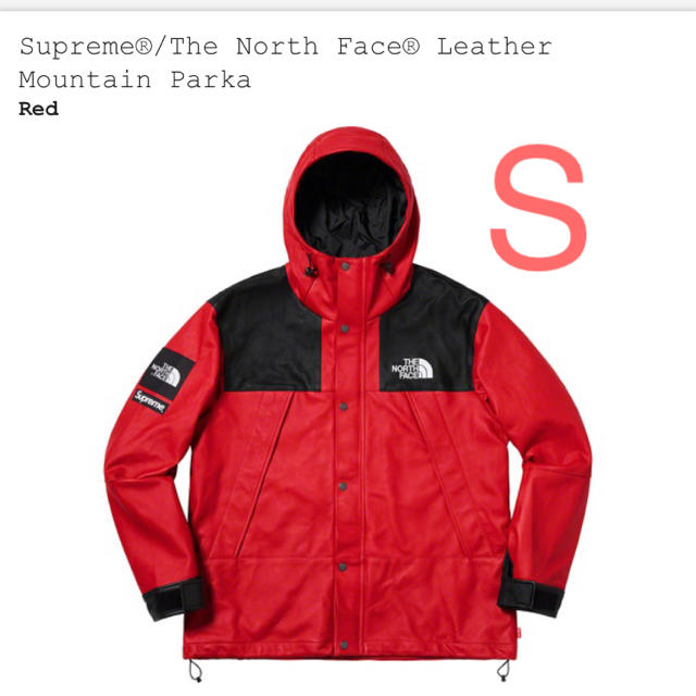 マウンテンパーカーSupreme/The North Face Mountain Parka