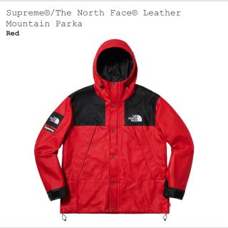 シュプリーム(Supreme)のSupreme north face leather mountain jkt(マウンテンパーカー)