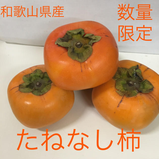 和歌山産　たねなし柿ご家庭用　7.5キロ 食品/飲料/酒の食品(フルーツ)の商品写真