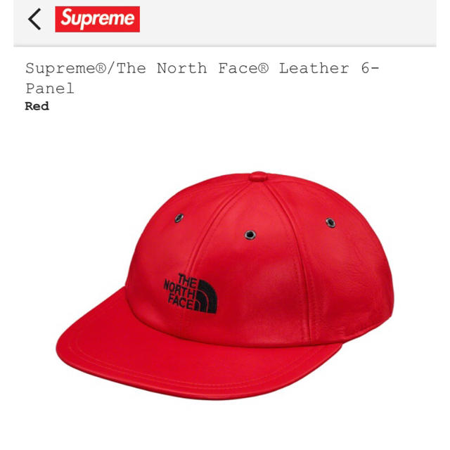 Supreme North Face Leather 6-Panel capメンズ