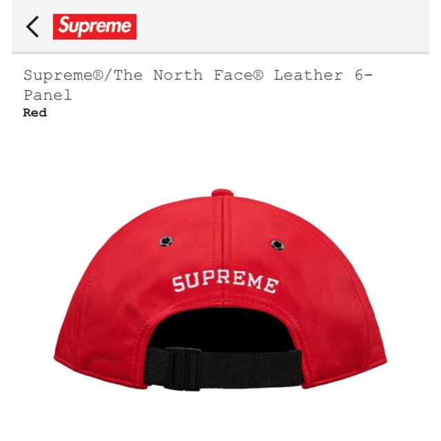 Supreme North Face Leather 6-Panel capメンズ