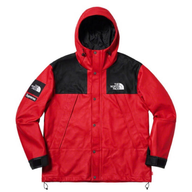 Supreme(シュプリーム)のSupreme North Face Mountain Parka Red L メンズのジャケット/アウター(マウンテンパーカー)の商品写真