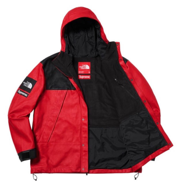 Supreme(シュプリーム)のSupreme North Face Mountain Parka Red L メンズのジャケット/アウター(マウンテンパーカー)の商品写真