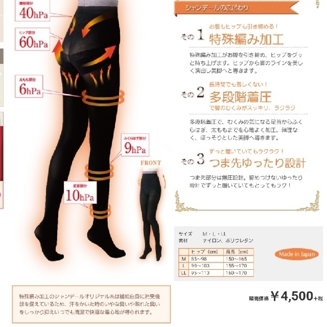 シャンデール 着圧タイツ L