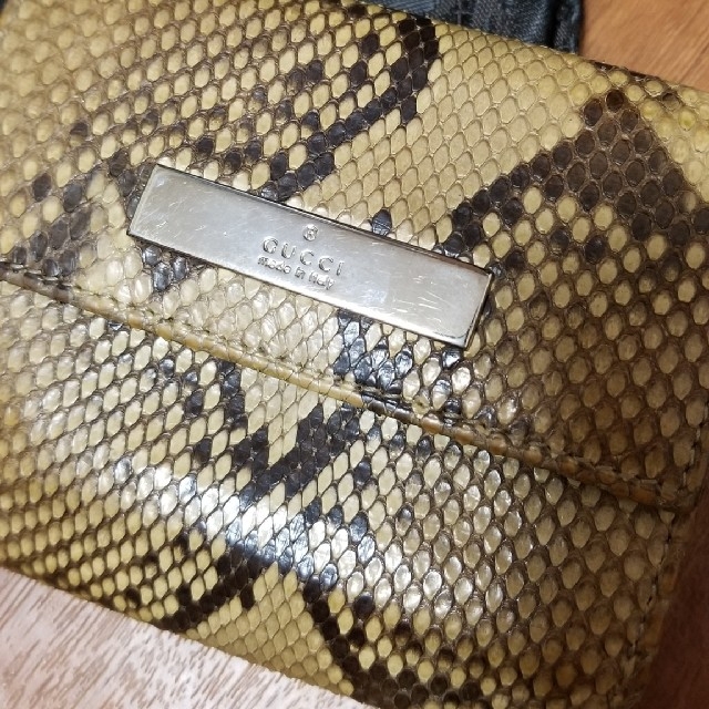 Gucci(グッチ)のGUCCI　パイソン革　財布 レディースのファッション小物(財布)の商品写真