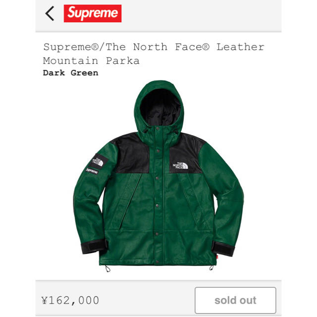 Supreme/The North Face Leather green M