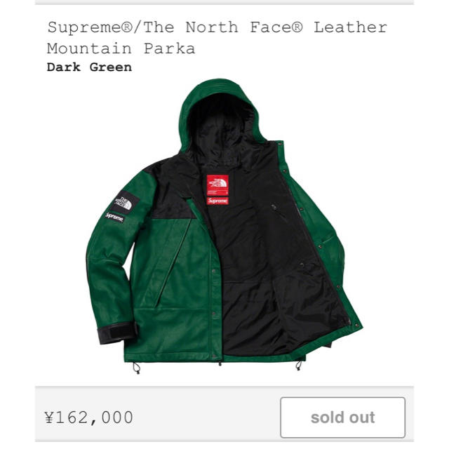 Supreme(シュプリーム)のSupreme/The North Face Leather green M メンズのジャケット/アウター(マウンテンパーカー)の商品写真