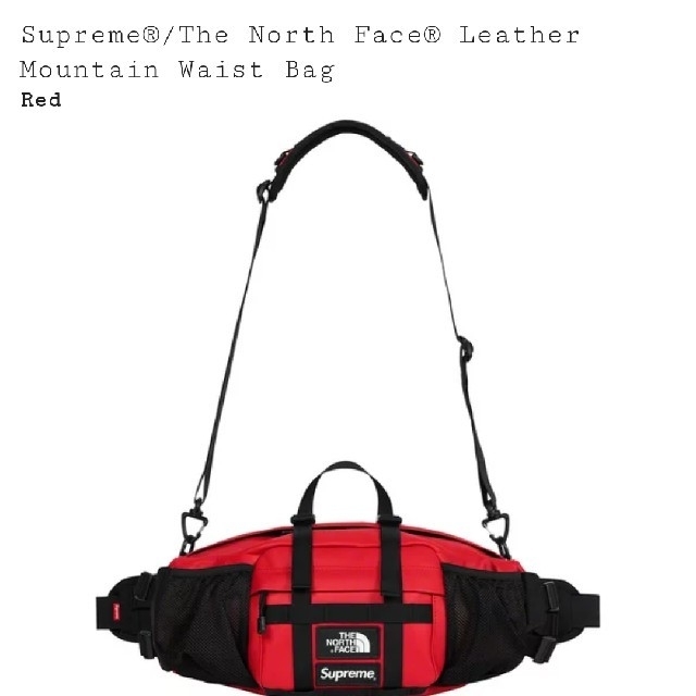 Supreme The North Face