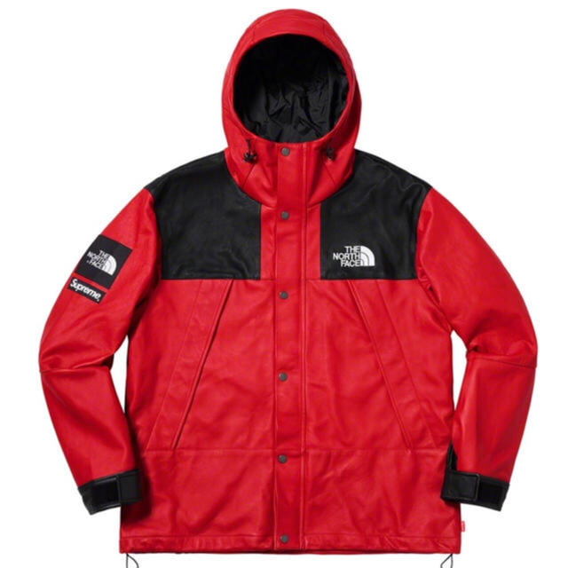 即 S Supreme×The North Face Leather Mount