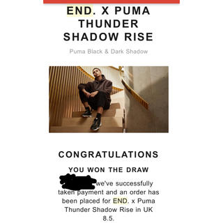 プーマ(PUMA)のEND. x PUMA THUNDER SHADOW RISE UK8.5(スニーカー)