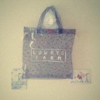 ローリーズファーム(LOWRYS FARM)のLOWRYS FARMビニールショップバ(ショップ袋)