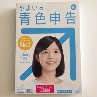 弥生の青色申告18(ビジネス/経済)