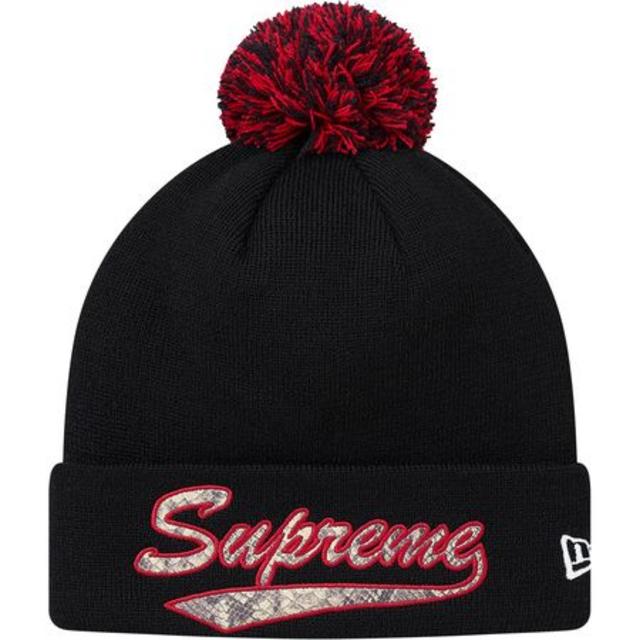 Supreme New Era Snake Script Beanie