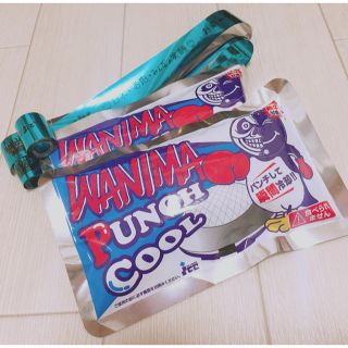 ワニマ(WANIMA)のWANIMA パンチクール・銀テープ(ミュージシャン)