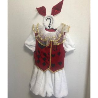 ボディライン(BODYLINE)のハロウィン コスプレ アリスのうさぎ(衣装)