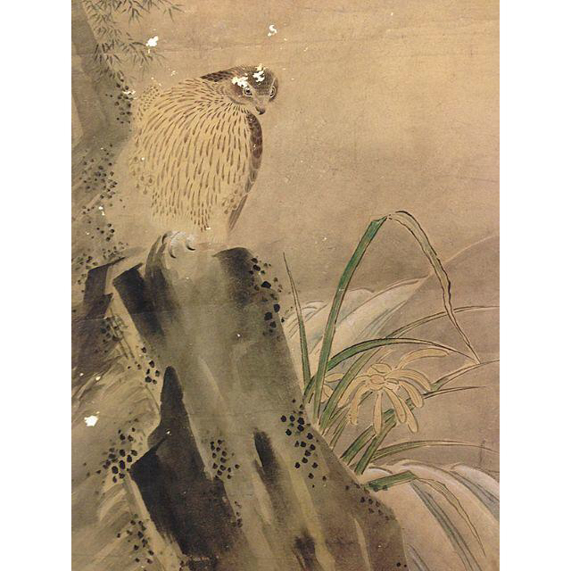曾我蕭白(曽我蕭白) 鷹と蘭の図 裏打ち済 日本画の通販 by 曾我蕭白(曽我蕭白) 鷹と蘭の図 裏打ち済 日本画の通販 by