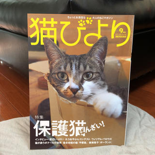 コストコ(コストコ)の猫びより 2018年9月号「保護猫ばんざい！」(猫)