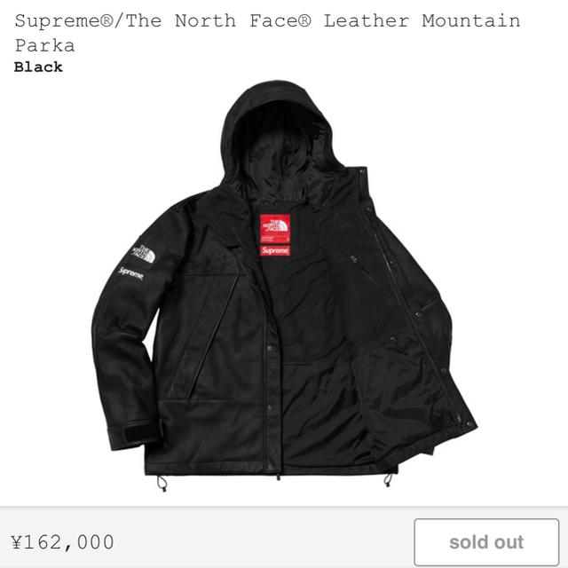 【S size】 Supreme / North Faceレザーマウンテンパーカ