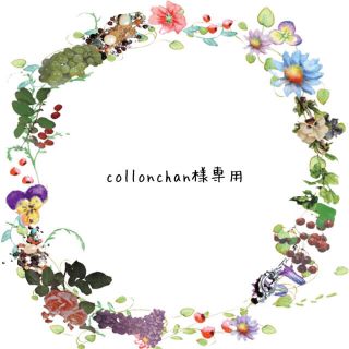 collonchan様専用ページ(オーダーメイド)