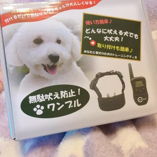 専用ワンブル　犬無駄吠え防止