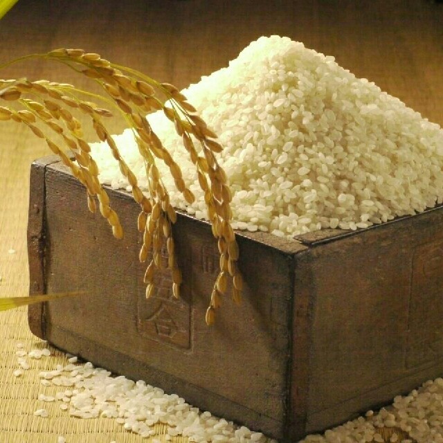 30年度産新米コシヒカリ白米『訳あり、お買い得』米袋込み24キロ送料込み！　米/穀物