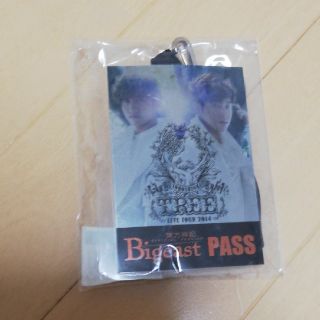 トウホウシンキ(東方神起)の東方神起LIVE TOUR 2014TREEスタッフレプリカパス(ミュージック)