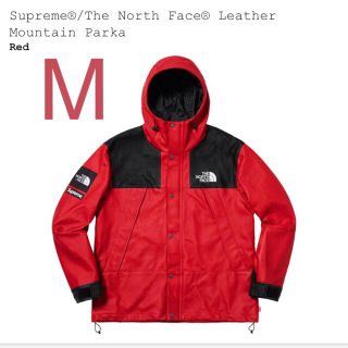 シュプリーム(Supreme)のSupreme The North Face Mountain Parka M(マウンテンパーカー)