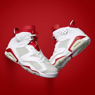 ナイキ(NIKE)のAIR JORDAN6 RETRO ALTERNATE(スニーカー)