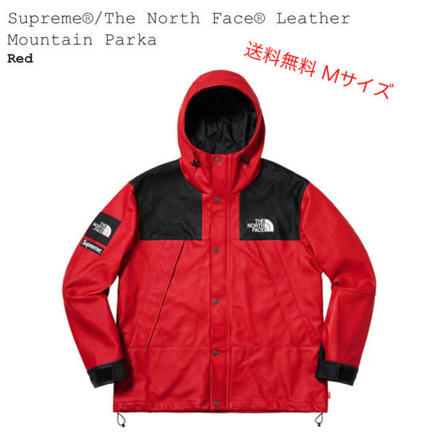 Supreme The North Face Leather Mounta