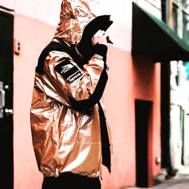 Supreme/TNF Metallic Mountain Parka