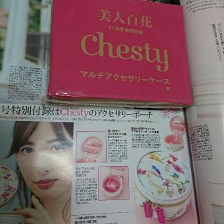 チェスティ(Chesty)の美人百花付録 chestyポーチ(ポーチ)