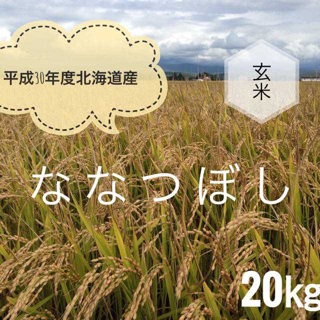 平成30年度北海道産ななつぼし玄米20㎏　米/穀物