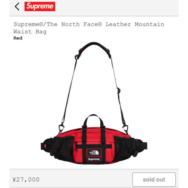 Supreme The North Face waist bag オンライン購入
