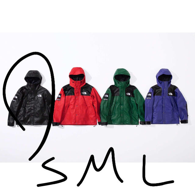 Supreme(シュプリーム)のsupreme tnf Leather Mountain Parka メンズのジャケット/アウター(マウンテンパーカー)の商品写真
