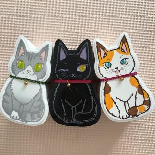 福ねこ弁当 空箱3匹セット(その他)