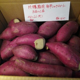 M 様専用　超お得‼訳あり☆オーダー☆新芋のシルクＢ品Ｃ品混ぜて約１４Ｋです。(野菜)