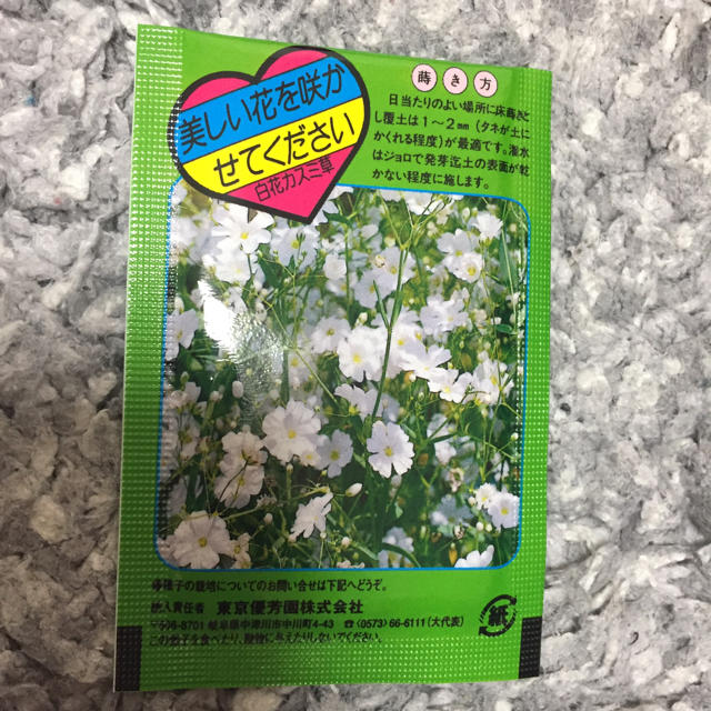 白花カスミ草の種の通販 By あや丸 S Shop ラクマ