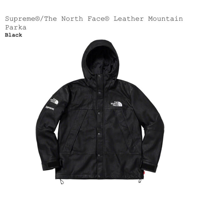 Supreme(シュプリーム)のsupreme tnf mountain parka soupremeさん専用 メンズのジャケット/アウター(マウンテンパーカー)の商品写真