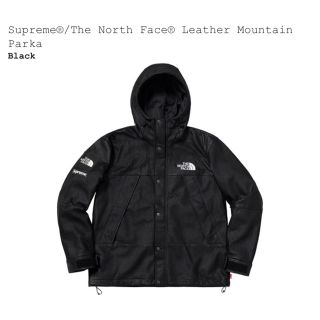 シュプリーム(Supreme)のsupreme tnf mountain parka soupremeさん専用(マウンテンパーカー)