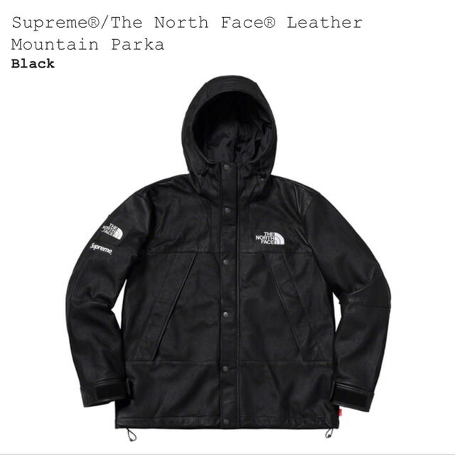 Supreme The North Face