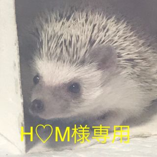 ロニィ(RONI)のH♡M様専用♥️(ワンピース)