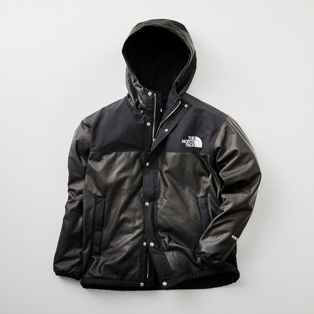 THE NORTH FACE - THE NORTH FACE  GTX PAMIR JACKET サイズM