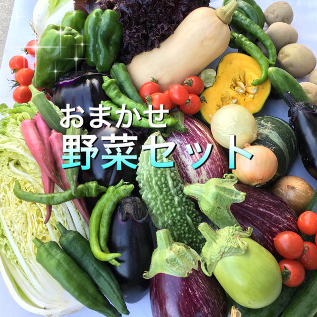 低農薬 野菜セット 80 食品/飲料/酒の食品(野菜)の商品写真