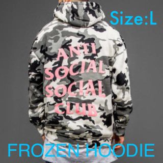 シュプリーム(Supreme)の【新品送料込】ASSC FROZEN HOODIE(パーカー)