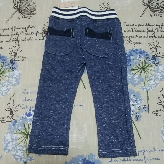 新品　ズボン　80 キッズ/ベビー/マタニティのベビー服(~85cm)(パンツ)の商品写真